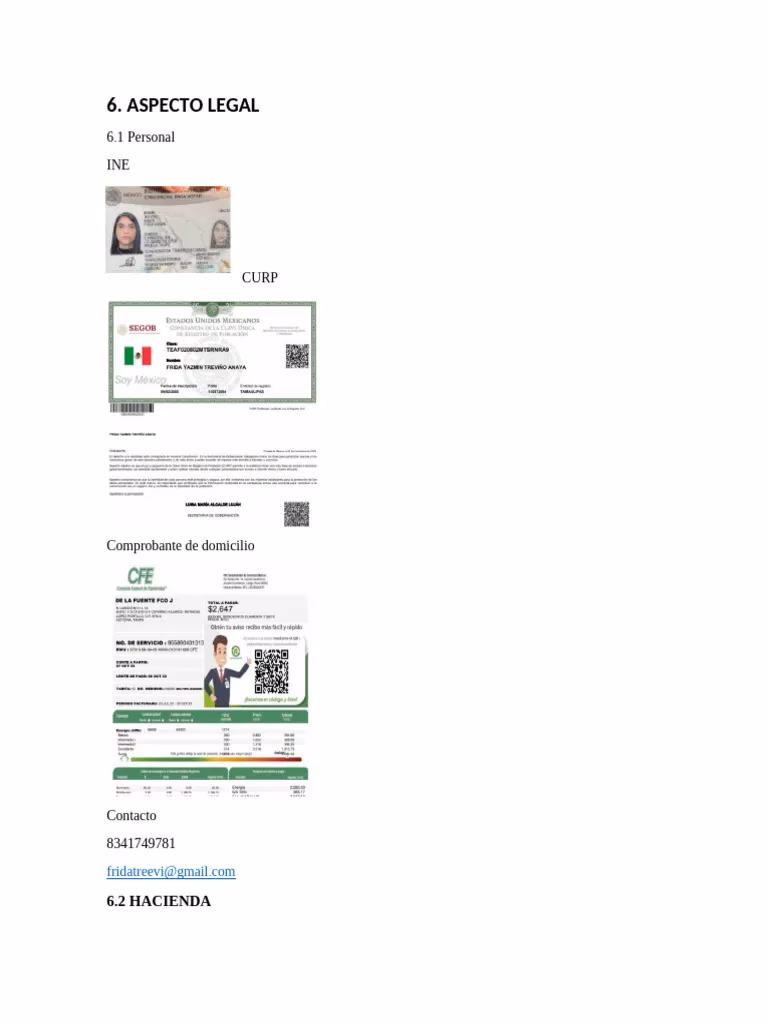 ¿Es necesaria la carta de naturalización para el SAT?