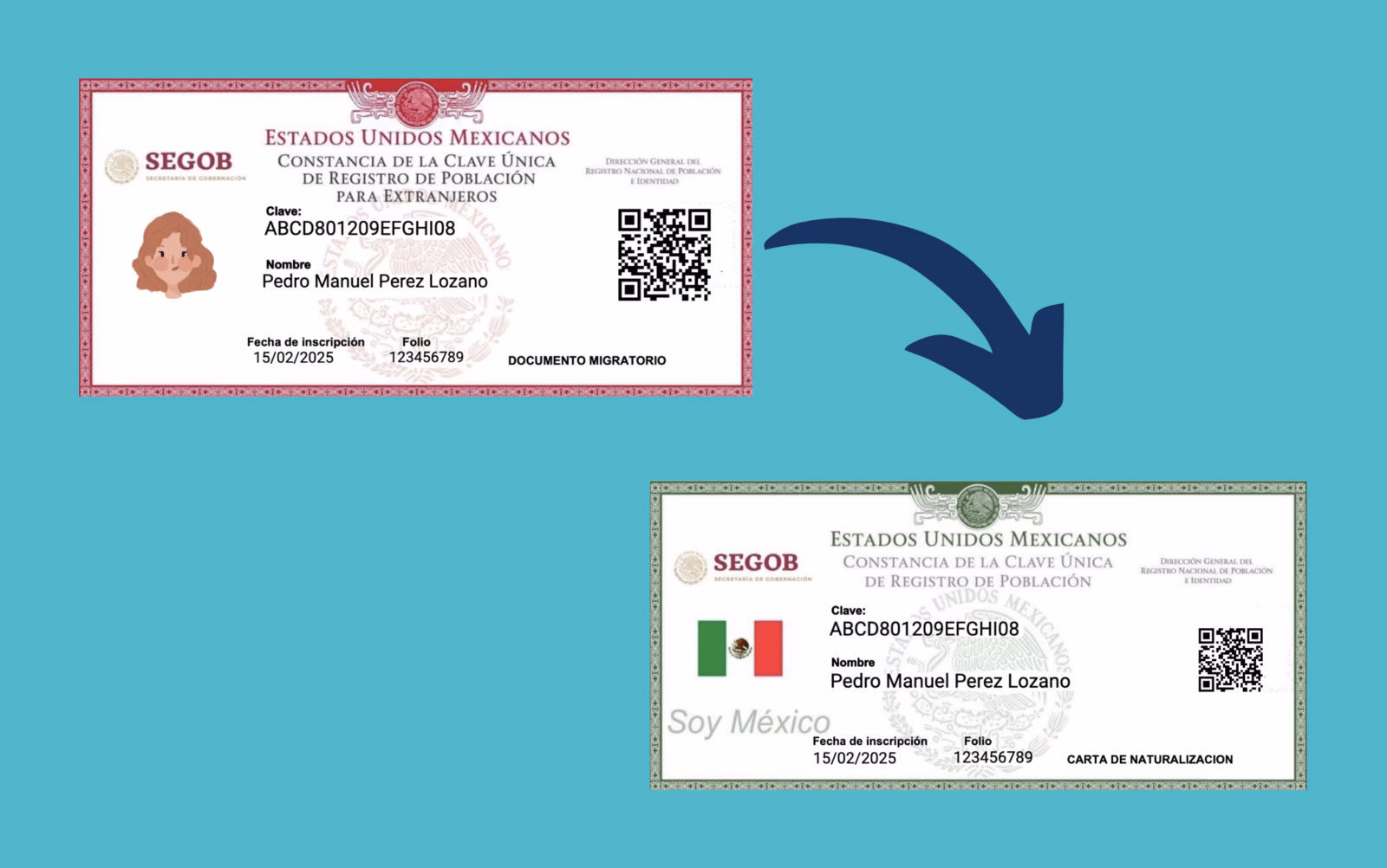 ¿Qué es la naturalización?