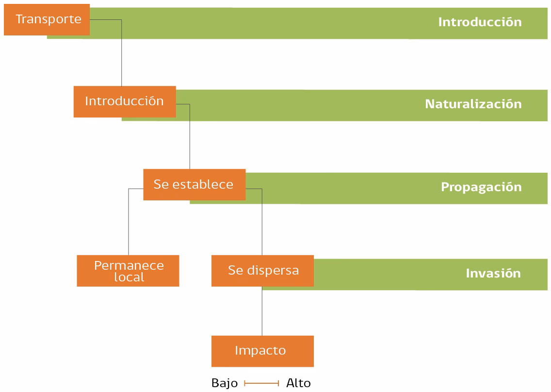 ¿Qué significa naturalizado en biología?