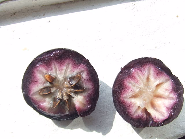 ¿Cuál es el origen del caimito?