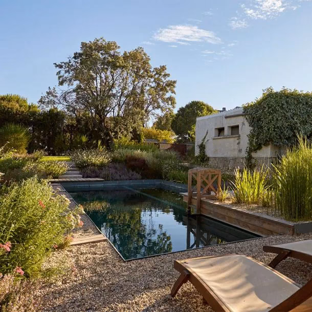 ¿Qué son las especies naturalizadas?