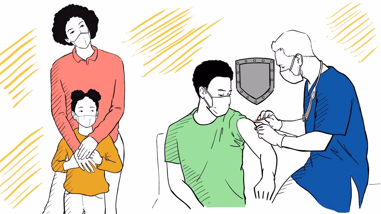 ¿Qué normas rigen el programa de vacunación?